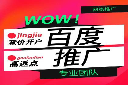 某公司信息流广告投放成功案例分析